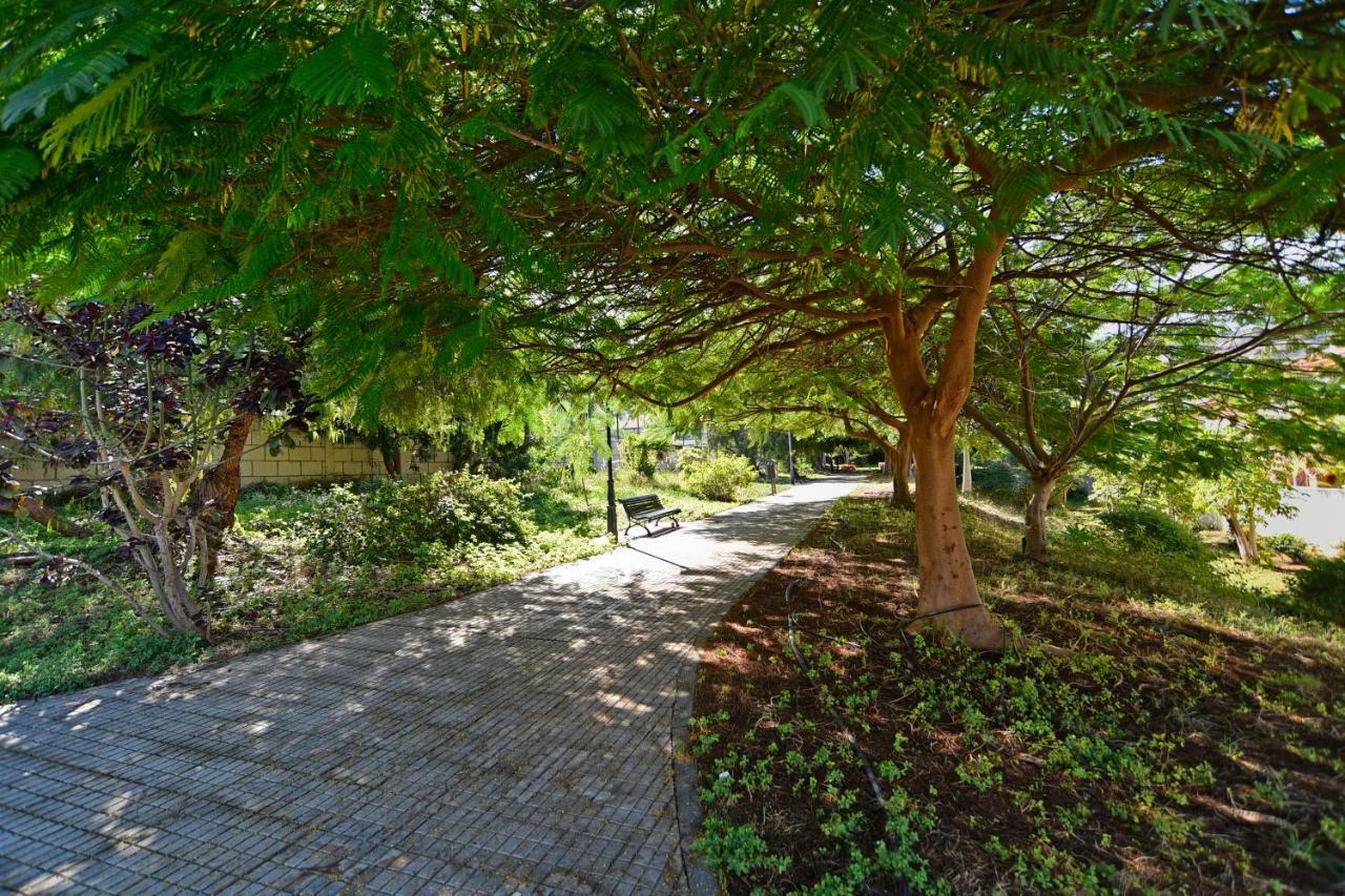 Apartamentos Lavanda Puerto de la Cruz  Ngoại thất bức ảnh